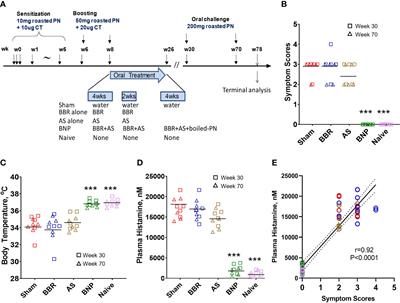 Berberine-containing natural-medicine with boiled peanut-OIT induces sustained peanut-tolerance associated with distinct microbiota signature